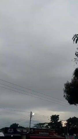 A flock of birds flies across a grey sky. The birds are small and dark, and they are spread out in a loose formation. The sky is overcast, and there is no visible ground or horizon.