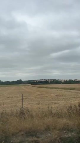 The video shows a cloudy sky over a rural landscape. In the foreground, tall dry grass and some yellow wildflowers are visible. Behind the grass, a harvested field of stubble stretches into the distance. A yellow pole with a sign is present, along with part of a large metal sign structure. The scene appears to be viewed from a moving vehicle, as indicated by the blur of trees in the background.