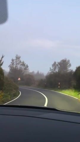 The video shows a car driving on a narrow, winding road through a foggy, mountainous area. The road has white lines marking the lanes, and there are green bushes and trees on either side. A triangular road sign with a symbol of a curve is visible on the right side of the road. The sky is overcast and gray. The car's headlights are on. The interior of the car is visible in the lower portion of the frame. The sound of someone speaking is heard.