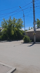 Sunny morning scenes documented across gardens and streets in Gyumri