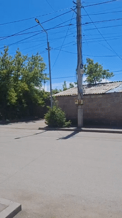 Sunny morning scenes documented across gardens and streets in Gyumri