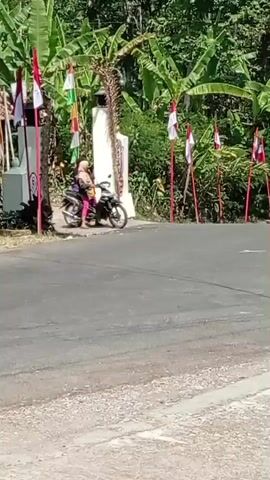 A woman and a child are riding a motorbike on a paved road. The woman is driving and the child is sitting behind her. The woman is wearing a pink shirt and the child is wearing a red shirt. They are both wearing helmets. The motorbike is black and white. There are several red and white flags on poles on the side of the road. There are also several banana trees in the background. The sun is shining and the sky is blue.
