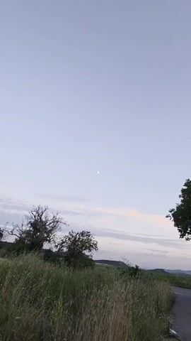 This media file captures a serene outdoor scene, likely in Suvorovo, Bulgaria, during twilight. The primary subject is the moon, visible as a bright, slightly more than half-illuminated disc in a pale, cloud-streaked sky. The moon is the focal point, appearing in the upper half of the frame and gradually becoming more prominent as the video progresses.

The setting is a natural landscape. In the foreground, tall, dry grasses and wildflowers create a textured, earthy foreground, suggesting a rural or wild environment. Two trees are visible on the left side of the frame; one is bare and skeletal, while the other is more lush and green. A road or path curves into the scene from the right, indicating a human-made element within the natural setting. In the distance, rolling hills can be seen, fading into the soft light of the evening sky.

The activity taking place is simply the observation of the moon and the landscape. There are no people or active events depicted, contributing to a feeling of stillness and quiet contemplation. The time of day is clearly evening, as evidenced by the soft, diffused light and the visible moon. The weather appears calm, with only light, wispy clouds present. The overall mood evoked by the media is peaceful and tranquil, characterized by the gentle light and the quiet natural surroundings. No visible text is present in the media file.