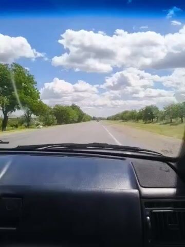 The video shows a first-person view from inside a car traveling on a paved road. The dashboard of the car is visible in the foreground. The road stretches into the distance, lined with trees on both sides. The sky is blue with fluffy white clouds. There are a few other vehicles visible on the road ahead. The scenery suggests a rural or semi-rural environment with a clear, sunny day.