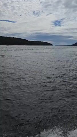 This is a short video clip, likely taken from a boat, showing a wide body of water. The water is choppy, with white foam visible at the bottom right corner, indicating movement. In the distance, a dark, forested shoreline stretches across the frame, suggesting a natural, possibly remote, setting. The sky is partly cloudy, with patches of blue sky peeking through the white clouds, hinting at dynamic weather conditions. The lighting suggests it could be daytime, perhaps late afternoon or early morning due to the diffused light. There are no people or specific objects visible, only the vast expanse of water and the distant landmass under a cloudy sky. The overall mood is serene and natural, with a sense of travel or exploration. There is no visible text in the media.