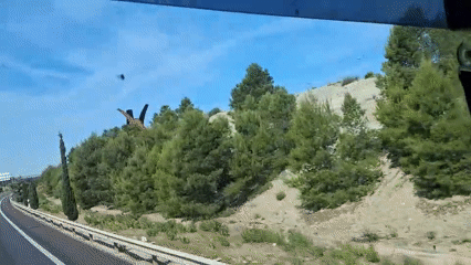 Morning highway drive recorded near Zaragoza, Spain