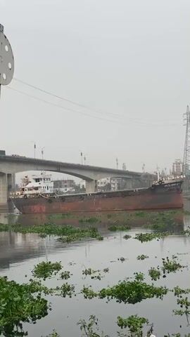 The scene shows a rusty, long, possibly decommissioned cargo ship sitting in a body of water, possibly a river, heavily populated with water hyacinth. The ship's hull is predominantly dark red and black. A white superstructure sits atop the front of the ship. A bridge stretches across the background, and a tall electrical transmission tower stands on the right. The sky is overcast, creating a muted, gray light. There are buildings visible in the distance on the right side, behind the electrical tower. The water is calm. There is some garbage in the lower right corner of the frame.