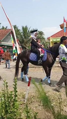 The video shows a procession with people riding horses. The first horse is ridden by a person wearing a graduation cap and gown and a hijab, and it has blue leg wraps. Behind this horse, another horse is decorated with red and white fabric and ridden by someone in a black shirt. This horse is led by a person in a black shirt and black pants. Further back, more people on horses are visible, along with spectators. The procession is moving down a dirt road lined with vegetation. Buildings with red roofs and flags are visible in the background. The sky is clear and the sun is shining.