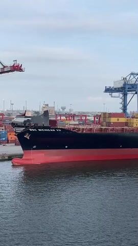 A large cargo ship, the MSC MICHIGAN VII, is docked at a port. The ship is filled with containers stacked high on its deck. Several large cranes are visible in the background, suggesting that cargo is being loaded or unloaded. The sky is overcast, and the water is calm.