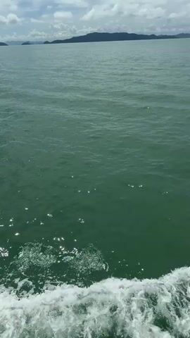 The video begins with a close-up of green water with white waves crashing against a boat. The camera then pans out to show a blue boat traveling through the water, with people sitting inside. In the distance, islands can be seen. The sky is blue with white clouds. The video continues to show the boat moving through the water, with the islands becoming more prominent. The sun is shining, and the water is sparkling. The video ends with a shot of the islands in the distance, with the boat in the foreground.