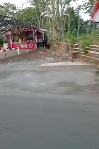 The video shows a moving shot of a roadside scene. In the foreground, there is a gray asphalt road. To the left of the road, there is a red and white structure that appears to be a stall or a small building, possibly with some red banners or decorations. Behind this structure, there are trees and vegetation. To the right of the road, there is a fence made of natural materials, like branches and logs, and more trees. The camera is moving, suggesting it is attached to a vehicle or being held by someone walking or riding. The overall impression is of a rural or semi-rural environment.