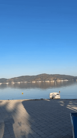 Sailboats moored in calm waters at Fethiye marina
