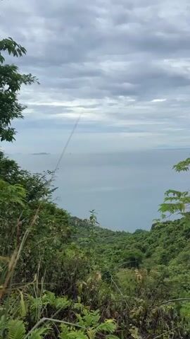 THE VIDEO SHOWS A VIEW FROM A HILLTOP OVERLOOKING A CALM OCEAN UNDER A CLOUDY SKY. GREEN VEGETATION, INCLUDING TREES AND BUSHES, FILLS THE FOREGROUND AND SIDES OF THE FRAME, APPEARING TO BE A JUNGLE OR FOREST ENVIRONMENT. THE OCEAN IS A PALE BLUE AND STRETCHES TO THE HORIZON, WHERE DISTANT ISLANDS OR LANDMASSES CAN BE SEEN. THE SKY IS OVERCAST WITH LAYERS OF GREY CLOUDS. THERE ARE NO PEOPLE OR ANIMALS VISIBLE IN THE FOOTAGE. THE VIDEO IS VERTICAL IN ORIENTATION.