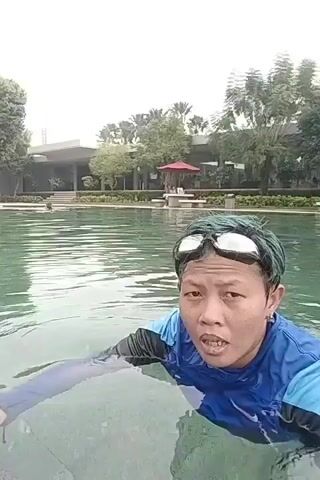 A person with green hair and swimming goggles on their head is in a swimming pool. They are wearing a blue and black swim shirt. The person is partially submerged in the water, with their face looking towards the camera. The background shows a building, trees, and an umbrella over a table. The water in the pool is green and appears to have ripples. The person appears to be holding onto something out of frame with their left hand. The person then submerges their head under the water. The camera angle is from within the water, looking up at the person.