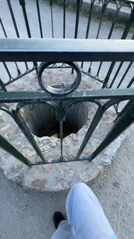 The video shows a person looking down into a deep, stone-lined well or cistern from behind a green metal fence. The camera zooms in, revealing a small dirt path and some greenery at the bottom of the well. A bird flies across the opening of the well.