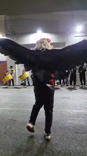 Costumed street performers dance with musicians in Iquique nighttime event