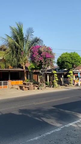 A white car drives past a row of shops and houses on a sunny day. The car is on the right side of the road, and the shops and houses are on the left. There are palm trees and flowering bushes in front of the buildings. The sky is clear and blue.