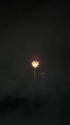The video displays a sequence of fireworks exploding in a dark, cloudy night sky. The first explosion is a vibrant orange, starburst-shaped burst of light. This is followed by a series of green fireworks, some resembling large, feathery blossoms and others with trails of sparks. The explosions are sporadic, with some moments of darkness between them. The overall impression is one of a nighttime fireworks display.