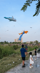 Large kite flying festival draws crowds in Thủ Đức, Vietnam