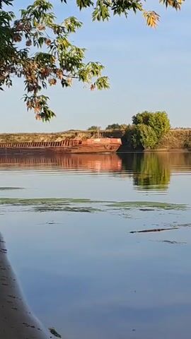 A barge is being pushed up a calm river. The sky is clear and blue, with a few wispy clouds. The sun is shining, casting a warm glow on the scene. Trees and vegetation line the riverbanks. In the foreground, there are some leaves hanging from branches, obscuring the view slightly. The water is reflective, mirroring the sky and the barge. The barge is long and brown, with a white tugboat at the front. The tugboat is pushing the barge, and there is a wake behind them. The scene is peaceful and serene.