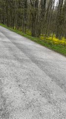 Spring road scene captured near Shumen, Bulgaria