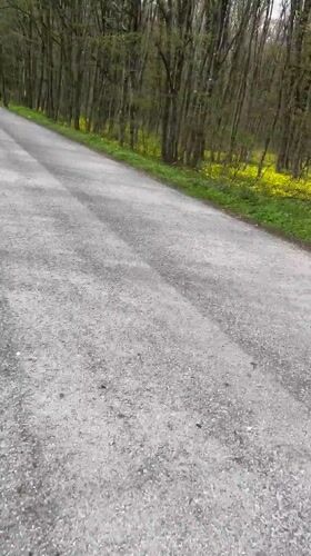 Spring road scene captured near Shumen, Bulgaria