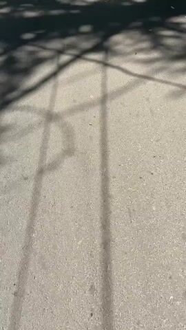 The video shows an overhead view of a gray asphalt surface dappled with shadows cast by unseen foliage and perhaps a fence. The shadows move and shift as if from a gentle breeze. Small debris, such as leaves and twigs, are scattered across the asphalt. The lighting suggests it is daytime with the sun present, creating distinct shadows. The perspective is from a moving camera, likely held or attached to something that is walking or being carried along the surface.