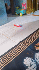 Red light-up toy fish roams a butterfly rug in a Lampung home