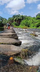 Everyday life documented in Ciudad Guayana: people, monkeys, nature