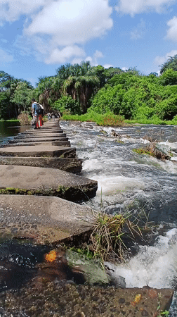 Everyday life documented in Ciudad Guayana: people, monkeys, nature