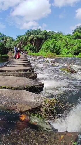 Everyday life documented in Ciudad Guayana: people, monkeys, nature