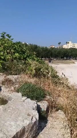 A video pans across a beach with a clear blue sky. In the foreground, there are rocks and dry grass. A few people are scattered on the sandy beach, some sitting or lying on towels, others standing near the water. In the background, there are trees and buildings, suggesting a town or city. The water is calm and blue. There are also some rock formations along the coastline.
