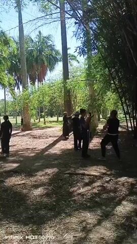 A group of people are practicing martial arts in an outdoor setting with trees and bamboo. There are several individuals dressed in dark clothing, some holding staffs or other training equipment. They appear to be engaged in coordinated movements and drills. The environment is sunny with dappled light filtering through the foliage.