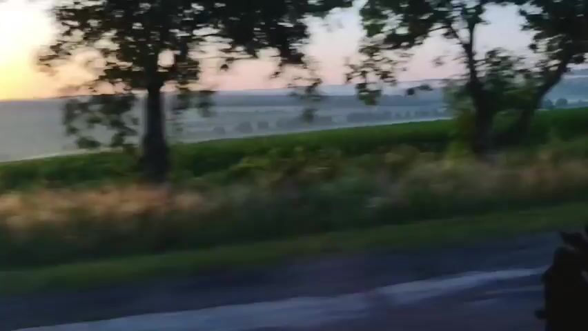 A slow-motion video shows a sunrise over a rural landscape. The sun is a bright orange orb on the left side of the frame, partially obscured by the silhouetted branches of trees. The sky is a gradient of orange, pink, and blue. In the foreground, tall green grass and wildflowers are visible, with a paved road or path in the lower portion of the frame. Behind the grass, there are fields of green crops, possibly corn, and rolling hills in the distance, with a light haze or mist covering the lower parts of the hills. The overall atmosphere is serene and peaceful.
