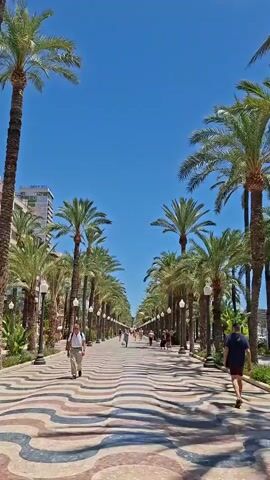 The video shows a pedestrian promenade lined with palm trees on both sides. The ground is paved with a wave-like pattern in various colors. Several people are walking along the promenade. One man in a white shirt and beige pants is walking towards the camera, while another man in a blue shirt and shorts is walking away from the camera. The sky is clear and blue. Buildings are visible in the background behind the palm trees on the left side. The scene appears to be outdoors on a sunny day.