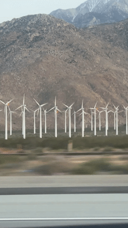 Wind farm observed from moving vehicle near Cabazon