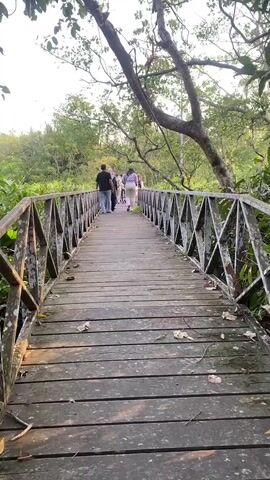 A group of people walk across a wooden bridge in a natural environment. The bridge is made of wooden planks and has a railing on either side with a decorative diamond pattern. The railing is weathered and shows signs of age. The bridge is surrounded by lush green vegetation, including trees and other plants. The sky is visible above, with some branches of trees hanging over the bridge. The people on the bridge are walking away from the camera and are a mix of adults and possibly some younger individuals. One person in the foreground is wearing a dark shirt and jeans, while another person further ahead is wearing a light-colored outfit. The overall atmosphere appears to be peaceful and natural.