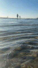 Afternoon in the water off Tel Aviv's coast