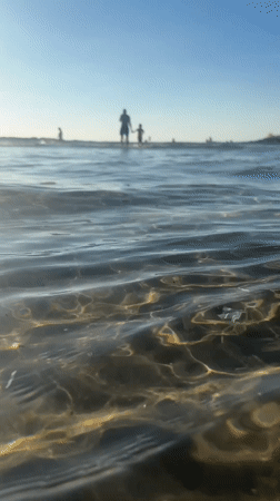 Afternoon in the water off Tel Aviv's coast