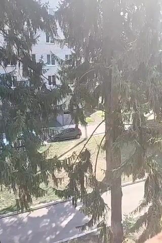 A still image shows a view from above of a residential area. In the foreground, the branches of a large evergreen tree obscure the view. In the midground, there is a paved area with several cars parked. A few trees and green spaces are visible. In the background, there are several multi-story apartment buildings. The sky is visible at the top of the frame and appears to be bright and sunny. There is a person walking in the paved area among the parked cars.