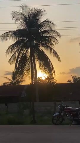 The video captures a sunset scene with a prominent palm tree silhouetted against the sky. The sun is visible, peeking through the palm fronds and some foliage. A solar panel is mounted on top of the palm tree. In the foreground, part of a motorcycle is visible on the right side, and a dark, shadowy object, possibly a person's head or shoulder, obscures the lower left portion of the frame. The overall impression is a tropical or sub-tropical environment during twilight.