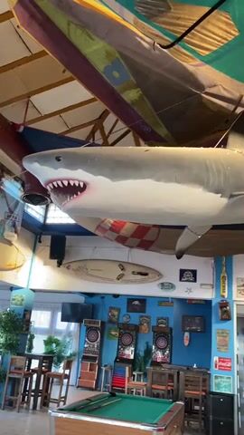 The video pans across a dimly lit, themed indoor bar or restaurant. Prominently featured is a large, hanging replica of a great white shark. Below the shark, surfboards are displayed on the wall. The space contains a pool table in the foreground, dartboards, bar stools, and a bar area with shelves stocked with bottles. The decor appears to be beach or surf-themed, with colorful banners or sails hanging from the ceiling and various signs on the walls. A person can be seen briefly at the far right of the frame, behind the bar area. The lighting is ambient, with some decorative string lights visible on the shark replica.
