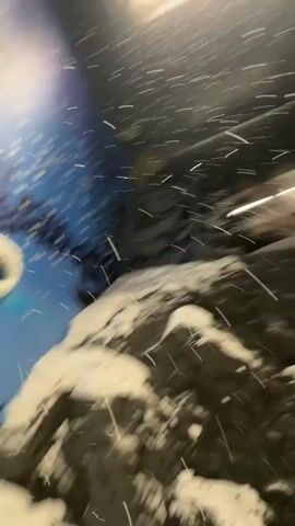 The video shows a first-person perspective of someone moving through a snowy, indoor environment. Snow is falling and accumulating on artificial rocks and a stylized backdrop of trees and flowers. The camera appears to be handheld, and the movement is dynamic, with rapid pans and tilts. At 00:02, a person's face comes into view, looking up and slightly to the side, with snow falling around them. The scene appears to be part of an attraction or exhibit designed to simulate a winter environment.