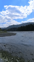 Rocky river valley in Nizhnekayancha, Altai, on a clear summer morning
