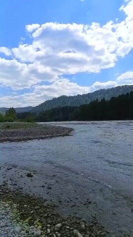 A wide, flowing river dominates the scene under a bright blue sky filled with puffy white clouds. The water appears clear and slightly rippled, with a rocky shore in the foreground. On the opposite bank, a dense forest of dark green trees stretches across the base of rolling, tree-covered hills. The overall impression is one of a natural, serene landscape.