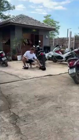 The video shows a young man with light skin and short blond hair crouching down and petting a black dog on a concrete surface.  The man is wearing a white t-shirt, black shorts, black sneakers, and black socks. He is also wearing a black cross-body bag. Behind him, there are three parked scooters.  To the left is a gray building with a brown tiled roof. There are plants, small figurines, and colorful decorations in front of the building. The sky is blue with scattered white clouds.