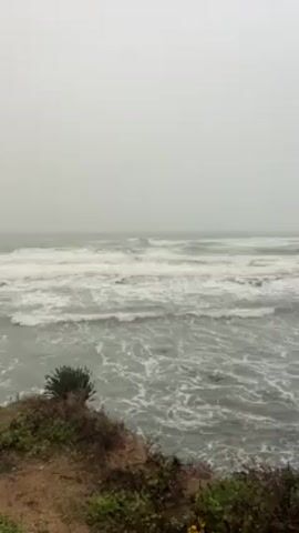 The video shows a view of the ocean from a high vantage point. The water is choppy with whitecaps, and the sky is overcast with fog. The foreground shows some vegetation on the edge of a cliff. The lighting is muted due to the weather conditions.