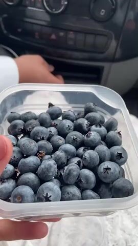 The video begins with a close-up shot of a hand holding a clear plastic container filled with blueberries. The hand is light-skinned. The container appears to be a reusable food storage container. In the background, the interior of a vehicle is visible, specifically the dashboard and part of the infotainment screen, which displays the time as 16:13 and a music icon. The dashboard has a carbon fiber-like trim. The video then shifts to a view from inside the vehicle, looking forward through the windshield. The vehicle is on a paved road in a European town or village, with houses and trees lining the sides of the road. There are other vehicles on the road, including a white SUV approaching in the distance and a dark car parked on the right side of the road. The video continues to show the driver's perspective as the vehicle drives forward. The focus then shifts to the feet of two people inside the vehicle. One person is wearing a white lace dress and white shoes, and the other is wearing dark pants and brown dress shoes. The driver appears to be pressing the accelerator pedal with their right foot. The video ends with a shot of the driver's feet and the dashboard.