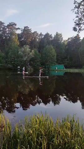 Two people on paddleboards are on a calm body of water, possibly a lake or pond, surrounded by lush green trees and foliage under a bright sky. The person on the left, an older male, wears a light blue shirt and dark pants, and uses a paddle. The person on the right, a female in a dark top and shorts, stands on her paddleboard without a paddle, extending her arm. Their reflections are visible in the still water. In the background, there are green buildings and some orange life vests hanging on a structure near the water's edge. The foreground features tall green grasses.