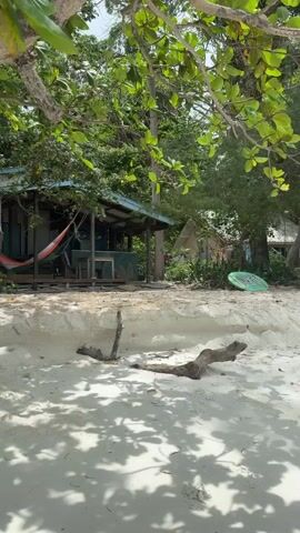 A slow, handheld, outward camera pan reveals a serene beach scene with a rustic wooden bungalow nestled amongst lush green trees. The bungalow features a blue roof and a porch with a colorful hammock strung between two posts. A small table and chairs are visible on the porch. The foreground is dominated by soft, white sand, with a piece of driftwood lying in the middle. Shadows of leaves and branches dapple the sand, suggesting a bright, sunny day. In the background, other similar structures can be seen, and a green disc-shaped object is partially visible near the bungalow. The overall atmosphere is peaceful and tropical.